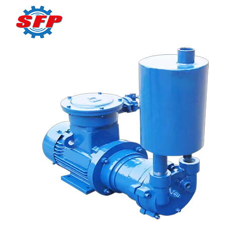 2BV Industrial Vacuum Pump